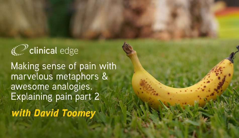 Clinical Edge Making Sense Of Pain With Marvelous Metaphors And Awesome Analogies Explaining